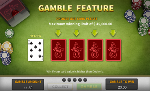 Upgraded slot game feature gamble feature screenshot