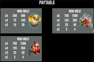 MAXBET wild dolphins paytable