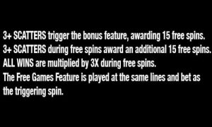 MAXBET venetia special bonus feature